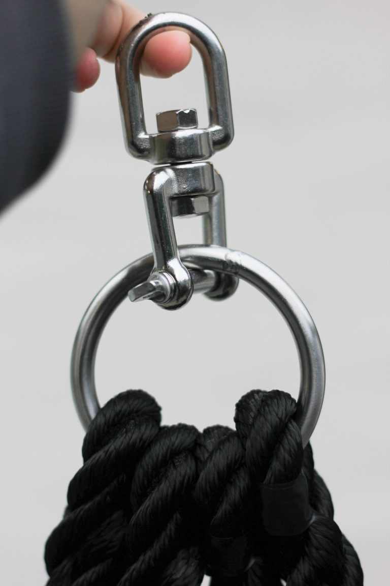 Sansegynge, institutioner og private