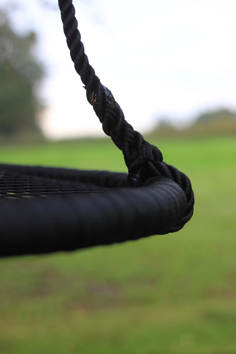 Sansegynge, institutioner og private