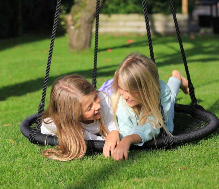 Sansegynge, institutioner og private